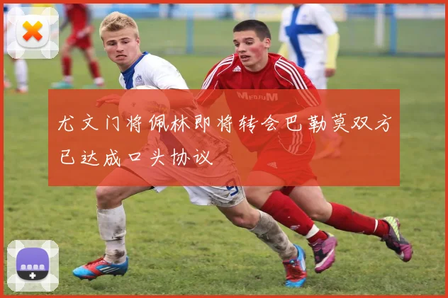尤文门将佩林即将转会巴勒莫双方已达成口头协议