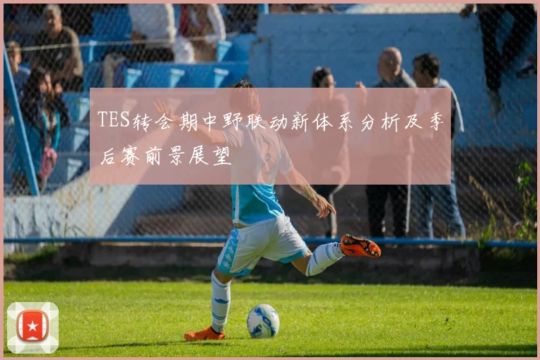 TES转会期中野联动新体系分析及季后赛前景展望